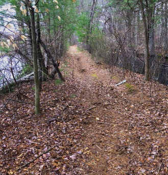 Hiking trail runs between pond and tributary