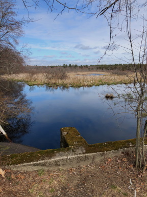 Looking east on Stump Brook.