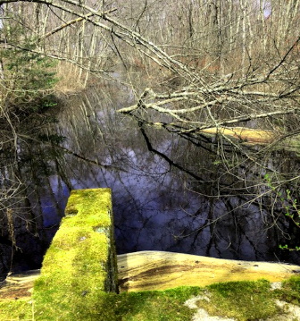 view from sulvert over stump brook