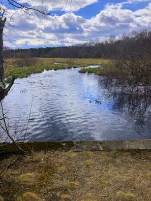 Stump Brook Halifax