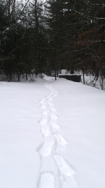 snow shoe hike in thaddeus chandler sanctuary