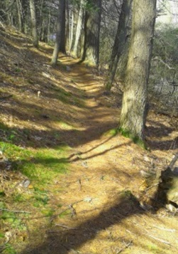 narrow trail on three town loop