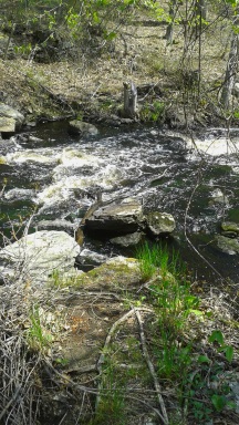 end of a side trail to site of former dam