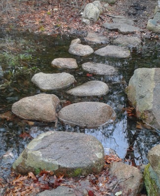 bridge alternative in rockland town forest