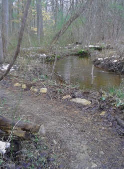 wide open view of french stream in spring before the vegetation obscures it.