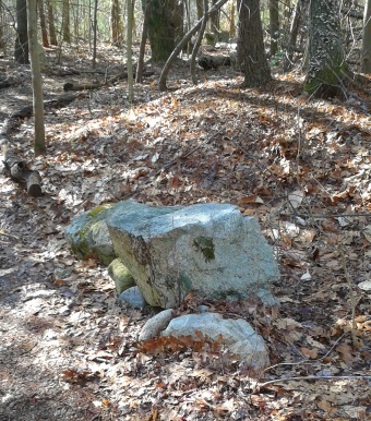 resting rock along a log lined hiking trail