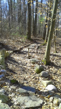 stones line and fill a hiking trail