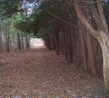 Bird Sanctuary Trail