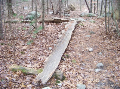 plank for wet hiking at triphammer pond