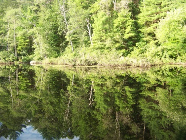 triphammer pond mirrors the sky