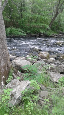 little bit of rapids on the Indian Head River