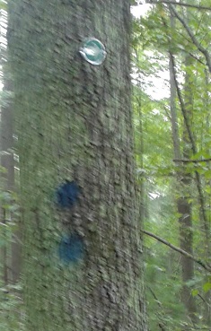 trail marking in tucker preserve