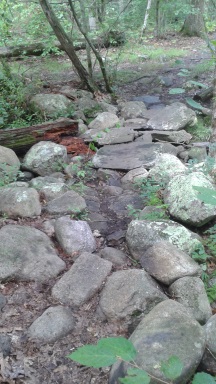 stone step way over a stream at tucker preserve
