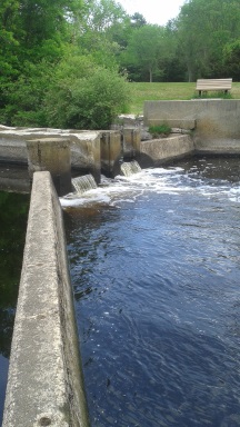 fishing spot at tuckers preserve