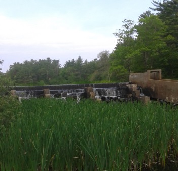 fish ladder at tucker preserve