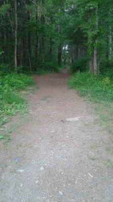 wide hiking trail at tucker preserve