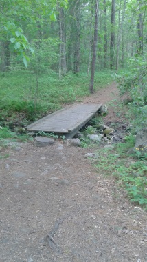 stream crossing at tucker preserve