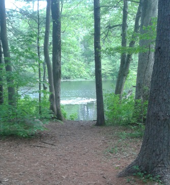 trail leading out to indian head river at tucker preserve