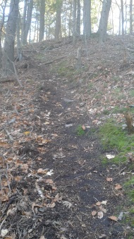 steep uphill trail connector at tucker preserve