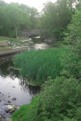 indian head river through luddams ford at tucker preserve