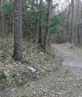 turkey hill lane at marker 38