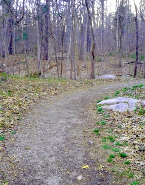 The trail up turkey hill starts as a wide, winding gravel lane.