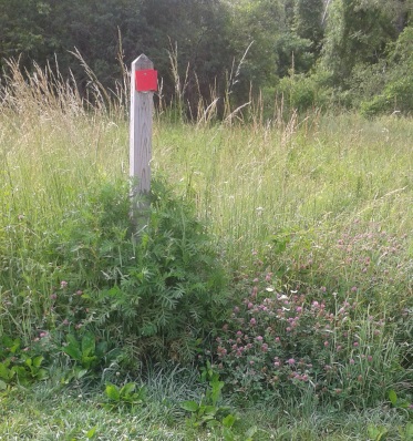 last red marker in summer on turkey hill