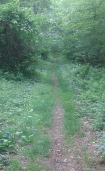 side hill rd. from turkey hill lane