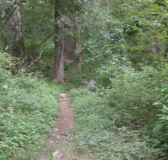 narrow hiking trail connecting side hill rd to the parking lot on route 3A