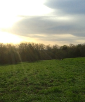 sunlit meadow on Turkey Hill