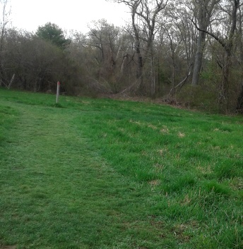 trail through meadow down to last red marker on turkey hill