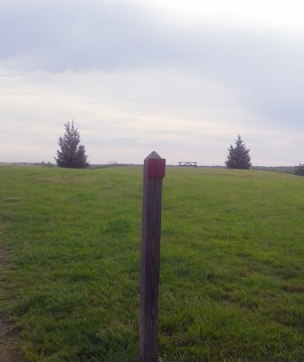 Trail through the meadow at the top of Turkey Hill.