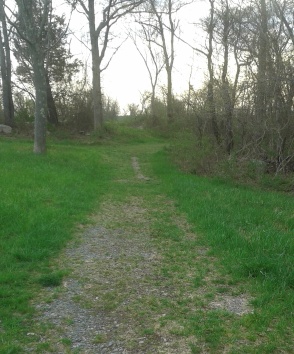 The wide path portion of Turkey Hill Lane