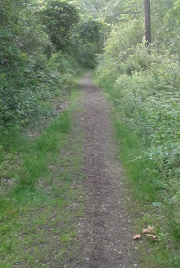 turkey hill lane after the turn from the meadow