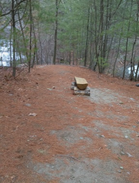 bench between the ponds on the twin ponds trail