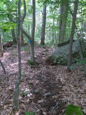 Winding rocky portion of the third loop on the Twin Ponds Trail.