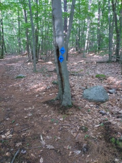 Arrows point the way on the Twin Ponds Trail.