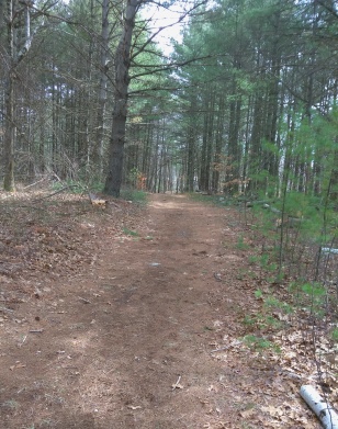 wide hiking trail runs by first of twin ponds