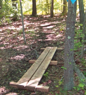 plank along wet area at twin ponds trail