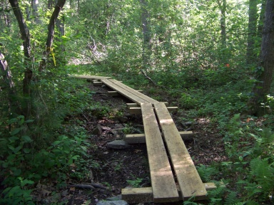 plank walk along winding trail at twin ponds trail