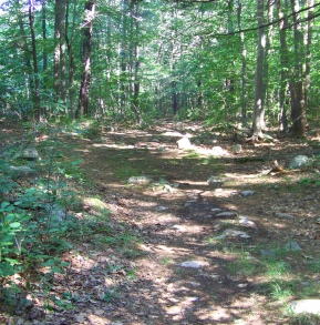 rocky trail below an outcropping on twin ponds trail