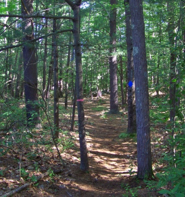 twin ponds trail marked by blue diamonds