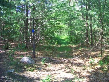 shallow blocked trail redirected by an arrow at twin ponds trail