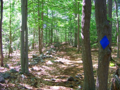 twin ponds trail running along a rock wall