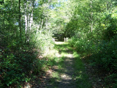 Grassy trail leading out to a field on Twin Ponds Trail.