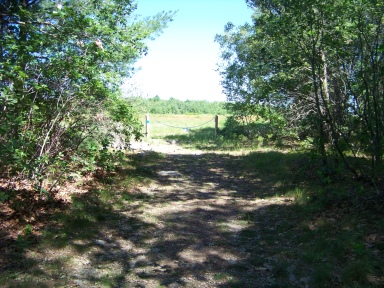 Wide hiking trail leads out to the field.