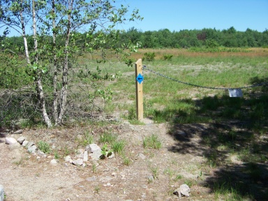 The hiking trail climbs out of the forest and follows a field on Twin Ponds Trail.