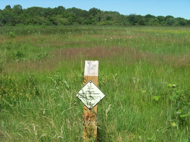 wild life protection boundary