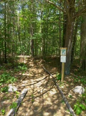 Twin Ponds Trail head on Abington Rockland line