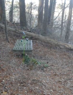 bench near the North River at Two Mile Farm in Marshfield